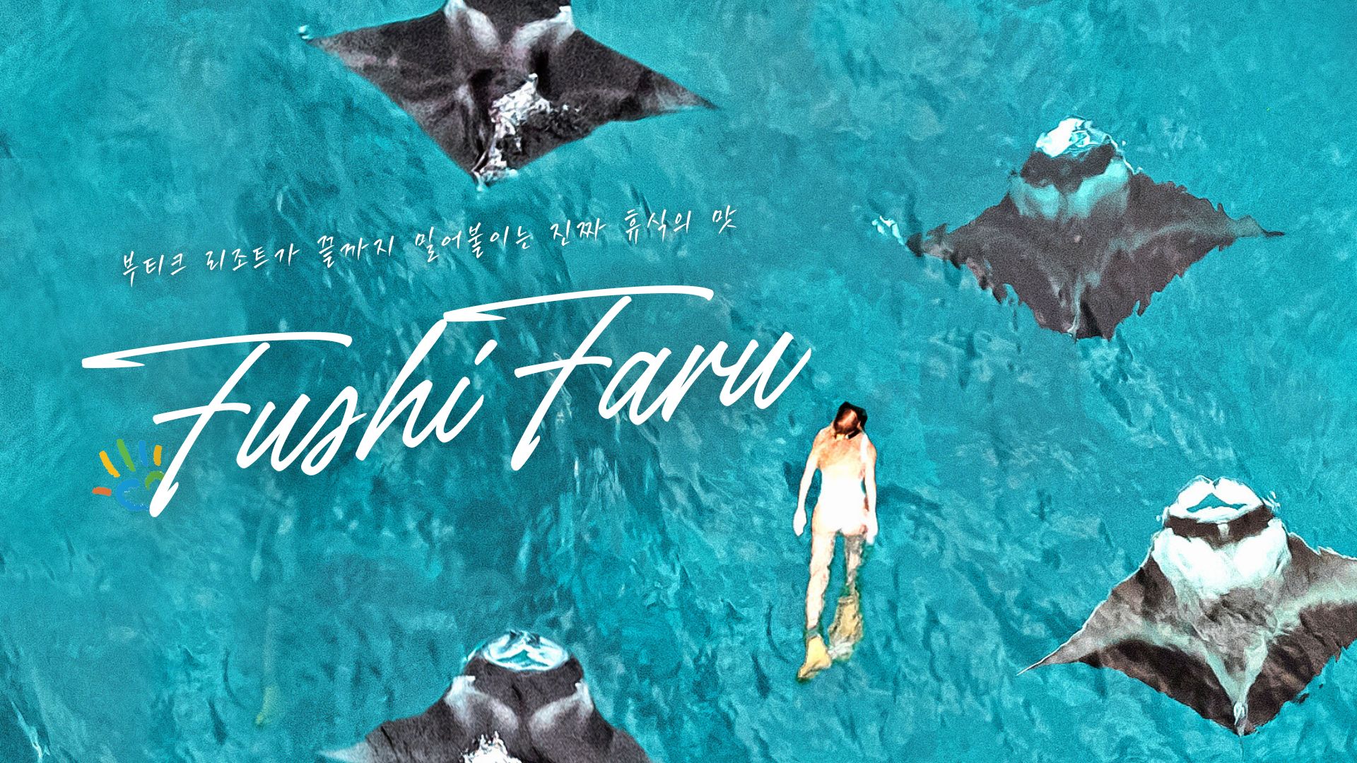 ����� �ְ��� 6���� ���Ÿ� ����Ʈ