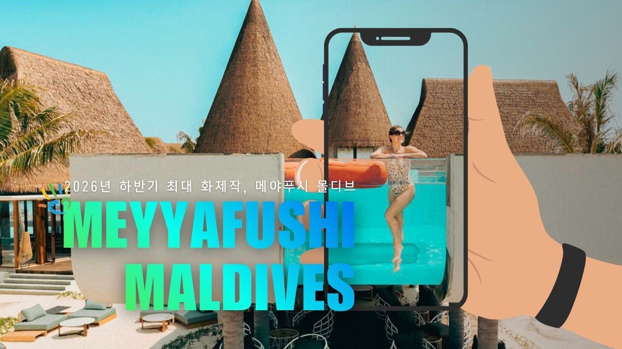 ����� �ְ��� 6���� ���Ÿ� ����Ʈ